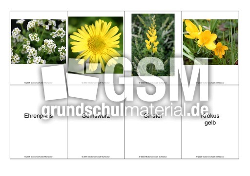 Blumen-Memo-Aufdeckspiel-16.pdf